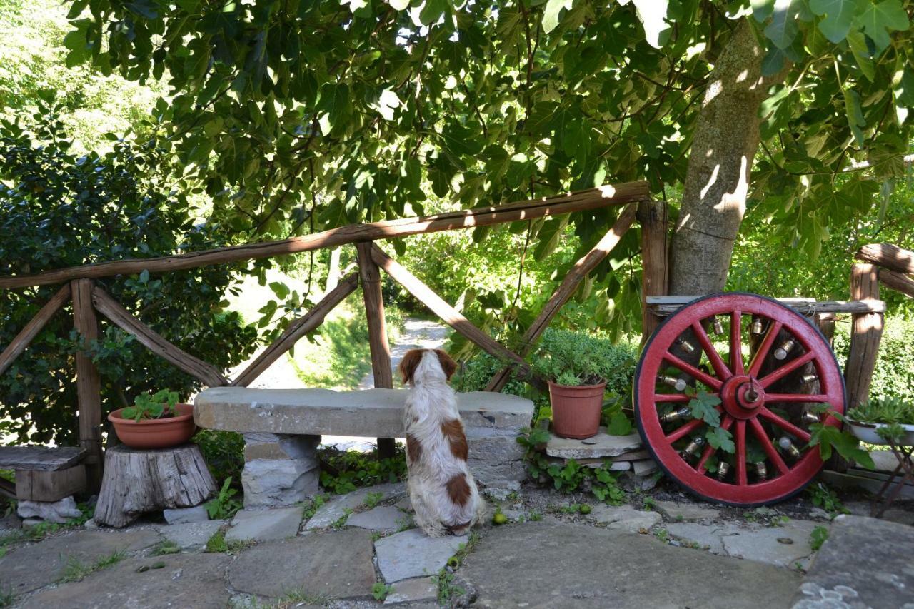 B&B Il Palazzo Sansepolcro Eksteriør bilde